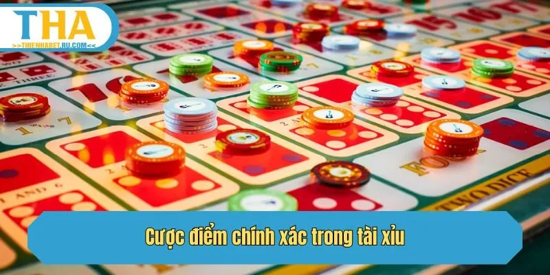 Cược điểm chính xác trong tài xỉu